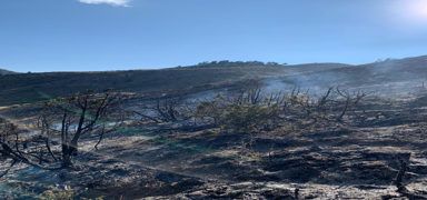 �spir'de ��kan yang�n s�nd�r�ld�