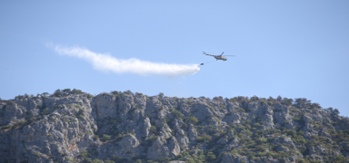 Sinop'taki orman yang�n� kontrol alt�na al�nd�