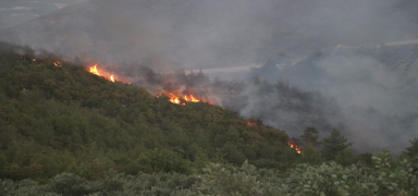 Hatay'daki yangn kontrol altnda