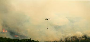 U�ak'ta orman yang�n� ��kt�: Ekipler m�dahale ediyor