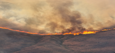 Kom�uda orman yang�n�... Sa�l�k kurulu�lar� tahliye edildi