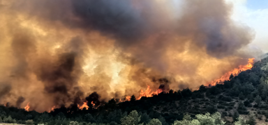 Mersin'de yang�n alarm�! M�dahale ba�lad�