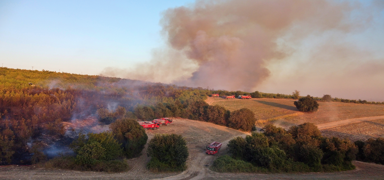 Osmaniye'den ac� haber!