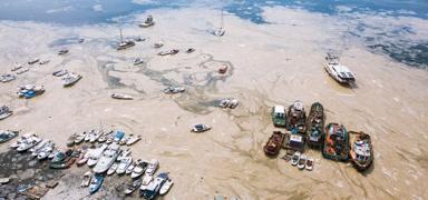 822 milyonluk cezayla m�silajla m�cadelede rekor