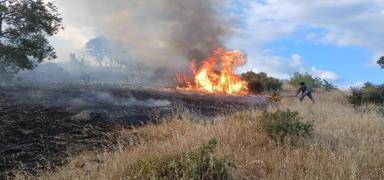 anakkale Valilii'nden yardm kampanyas uyars