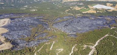 Mudurnu'daki orman yang�n�nda 1 ki�i tutukland�