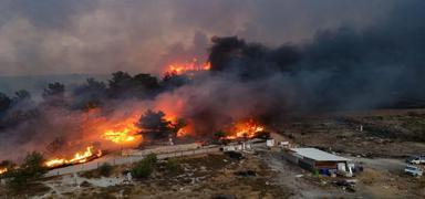 Osmaniye'den kahreden haber!