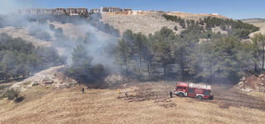 Ad�yaman'daki yang�n s�nd�r�ld�