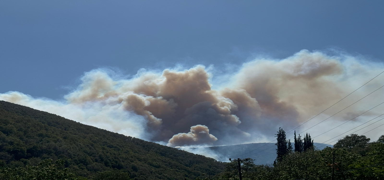 Kocaeli'de orman yang�n�