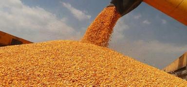 Msr alm fiyatlar belli oldu