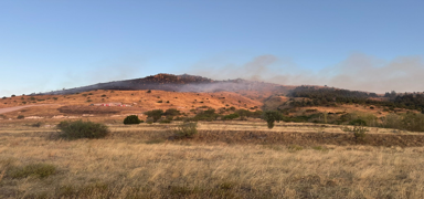 Afyonkarahisar'daki yang�n kontrol alt�nda