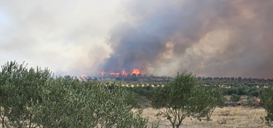 'Yanan ormanlarmz zerinden ucuz siyaset yapmayn'