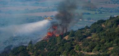 T�rkiye'de yang�nlar�n g�r�nmeyen y�z�: Y�zde 57'si orman d��� alanlarda ba�lad�