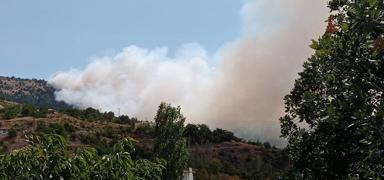 �orum'da orman yang�n�! M�dahale ba�lad�