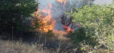 Malatya'da orman yang�n�: Alevler kontrol alt�na al�nd�