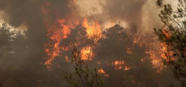 Piknik keyfi, orman felaketine dnyor: Antalya yangnlarnn yars mangal ateinden kaynaklanyor