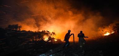 Define ararken orman� yakt�lar