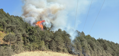 K�ylerin s�n�r�nda! Sinop'ta orman yang�n� ��kt�