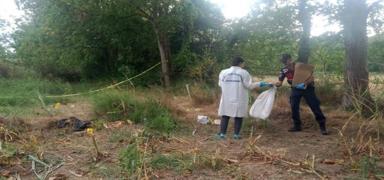 Samsun'dan D�zce'ye uzanan s�r! M�s�r tarlas�nda kafatas� bulundu