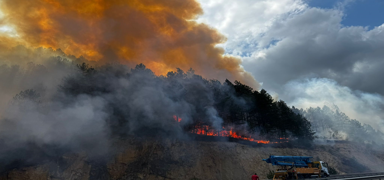 Bolu'da ormanl�k alanda ��kan yang�n k�smen kontrol alt�na al�nd�