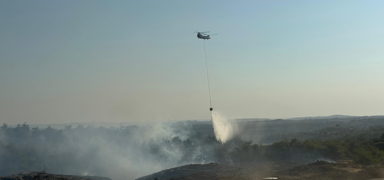 Adana'da orman yang�n�! M�dahale ba�lad�