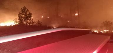 Mu�la'da orman yang�n�