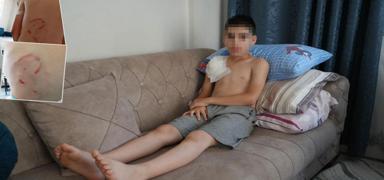 Samsun'da sahipli k�pek deh�eti