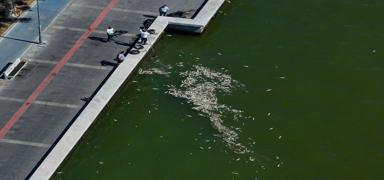 �zmir'e kabus geri d�nd�: Bu kokuyu hak etmiyoruz