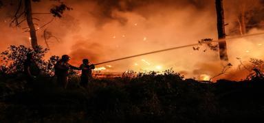 anakkale'den sevindirici haber: Kontrol altna alnd