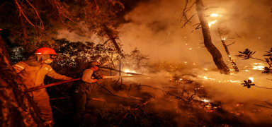 Gelibol'daki orman yangn kontrol altna alnd