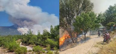 �ki ilde orman yang�n�: Havadan ve karan m�dahale ediliyor