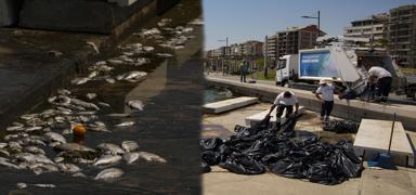 �zmir K�rfezi can �eki�iyor