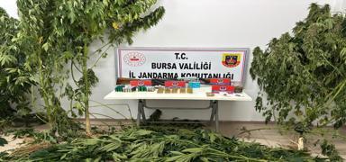 znik'te uyuturucu operasyonu: Evden cephanelik kt