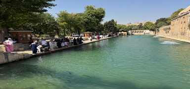 �anl�urfa kavruluyor: Termometreler 55 dereceye ��kt�