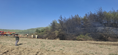 Adana'da orman yang�n�: Alevler kontrol alt�na al�nd�