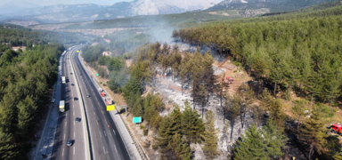 Adana'da yanan arac�n alevleri ormana s��rad�