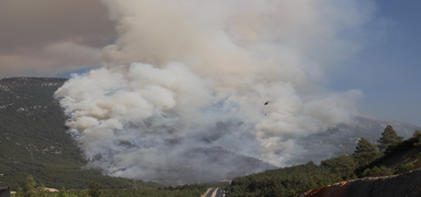 Pamukkale'deki yang�n kontrol alt�nda