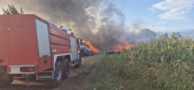 Tokat'ta kuma� deposunda yang�n ��kt�