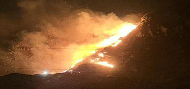 Bal�kesir'de Marmara Adas�'nda ��kan orman yang�n� kontrol alt�na al�nd�