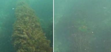 CHP'li belediyeden �evre katliam�! Bakanl�k ceza ya�d�rd�