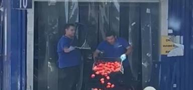 Kasalarca domatesi ��pe atm��lard�! Ticaret Bakanl��� harekete ge�ti