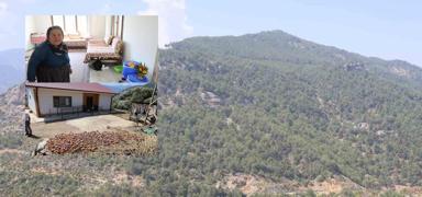 Adana'da devlet eliyle k�ller ye�ile d�nd�: G�zya�lar� bu kez sevin�ten akt�