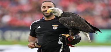 Benfica - Fenerbah�e ma�� �ncesi kartal u�uruldu