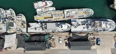 Ege'de sardalya alarm�! Deniz kirlili�i bal��� vurdu