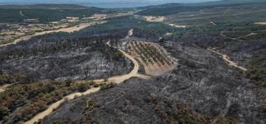 anakkale'de 7 bin 39 hektarlk alan yand