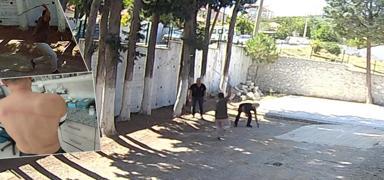 CHP'li belediyede skandal olay