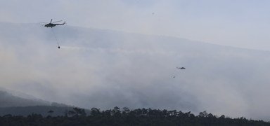 Denizli'deki yang�n kontrol alt�nda