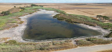 Tekirda�'da su seviyesi d��en g�lette oksijensiz kalan bal�klar telef oldu