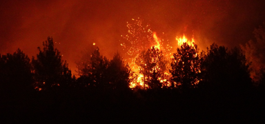 3 ilde orman yang�n�