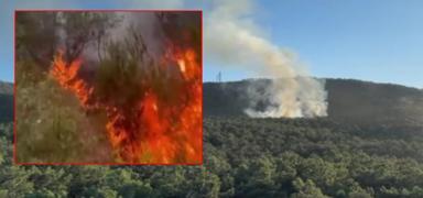 Ata�ehir'de ormanl�k alanda ��kan yang�n s�nd�r�ld�